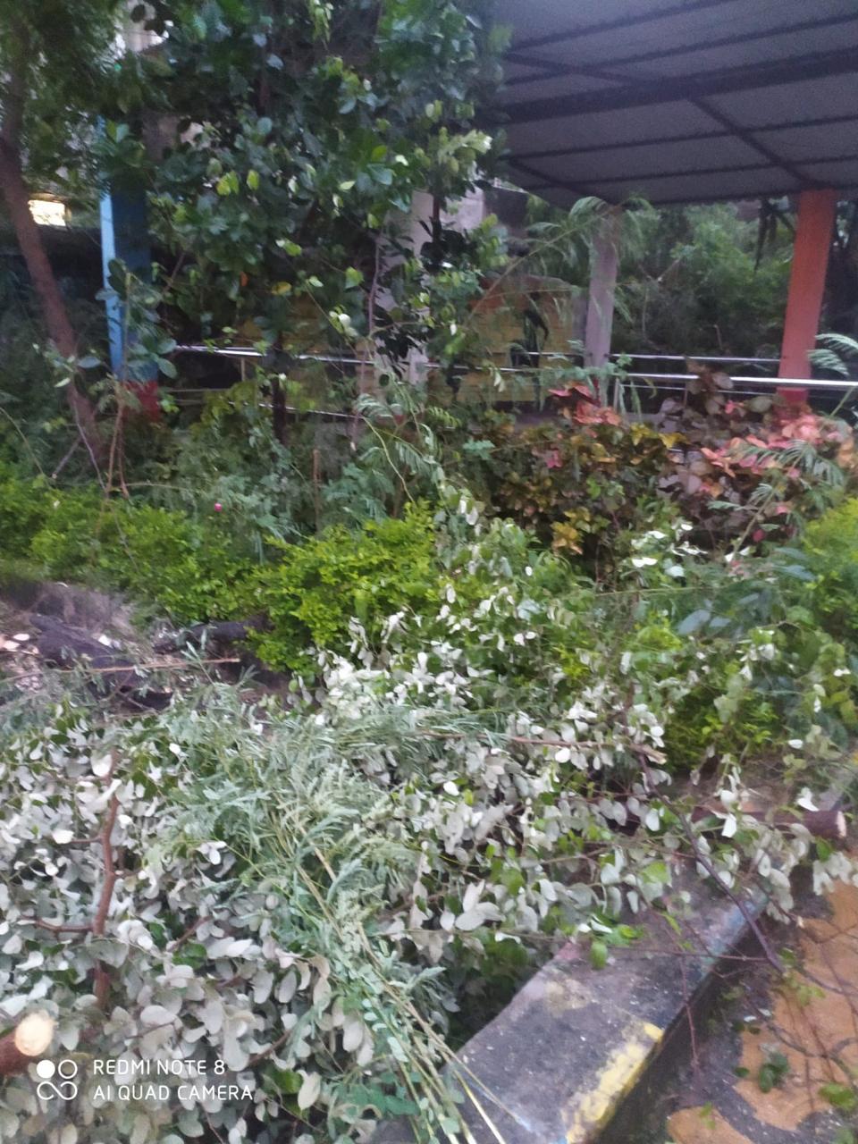 विष्णु के सुशासन का हो रहा है असर, रायपुर में एक कॉल से मिल रहा समाधन विष्णु के सुशासन का हो रहा है असर, रायपुर में एक कॉल से मिल रहा समाधन