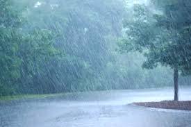 जिले में अब तक 483.4 मिमी औसत वर्षा दर्ज जिले में अब तक 483.4 मिमी औसत वर्षा दर्ज