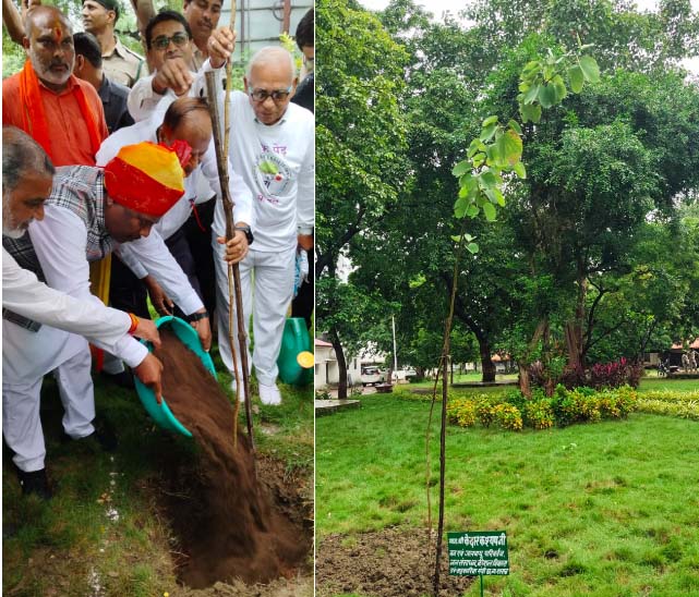 एक पेड़ मॉं के नाम एवं महतारी वंदन स्वरूप वनमंत्री केदार कश्यप ने किया पौधरोपण एक पेड़ मॉं के नाम एवं महतारी वंदन स्वरूप वनमंत्री केदार कश्यप ने किया पौधरोपण