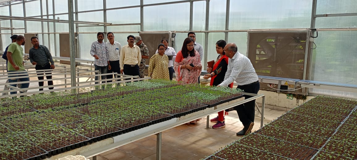 कलेक्टर सुश्री चौधरी ने की बीज प्रगुणन प्रक्षेत्र और एस.जे. फार्म का निरीक्षण कलेक्टर सुश्री चौधरी ने की बीज प्रगुणन प्रक्षेत्र और एस.जे. फार्म का निरीक्षण