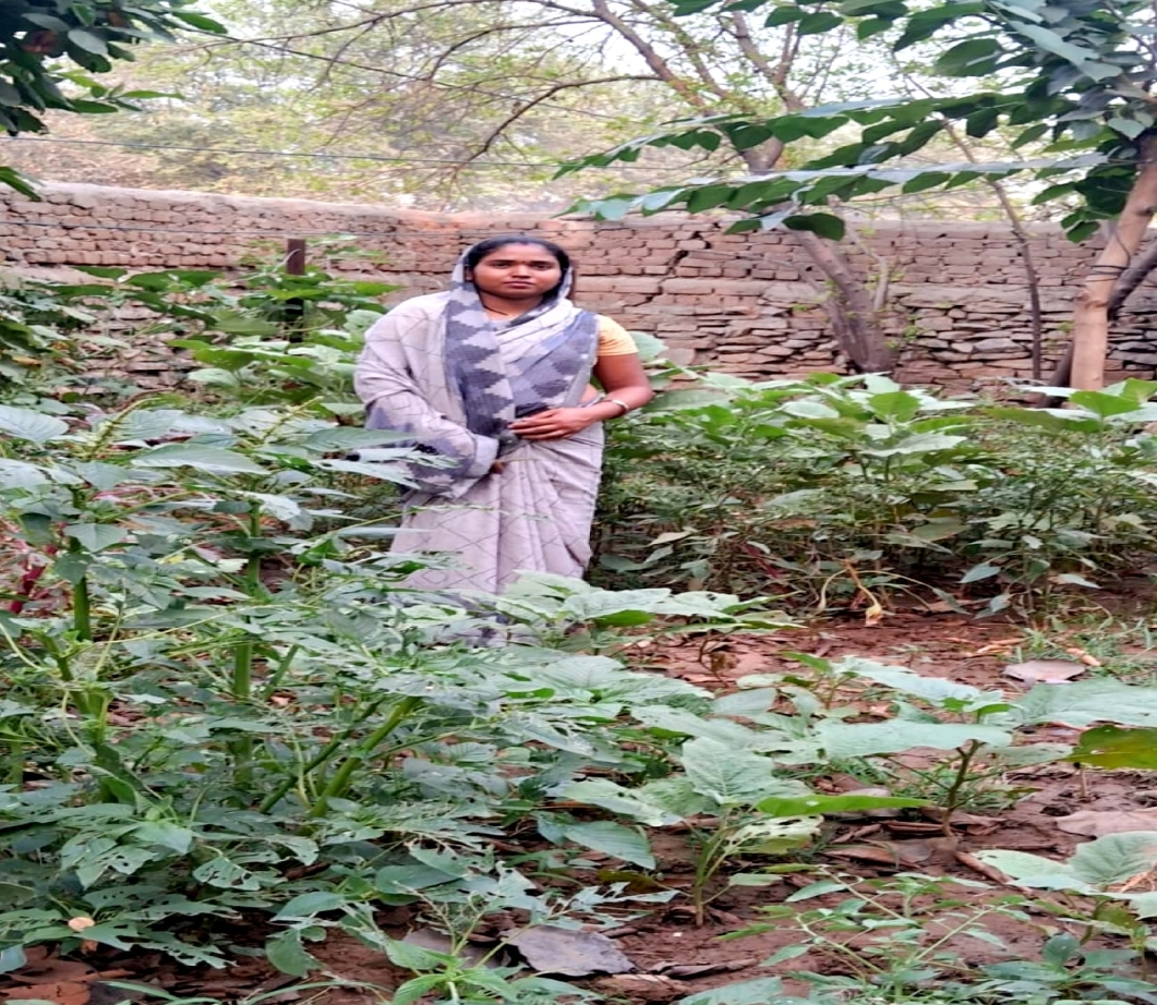 बिहान से जुड़कर सुजाता बनी लखपति दीदी, परिवार की बनी धुरी बिहान से जुड़कर सुजाता बनी लखपति दीदी, परिवार की बनी धुरी