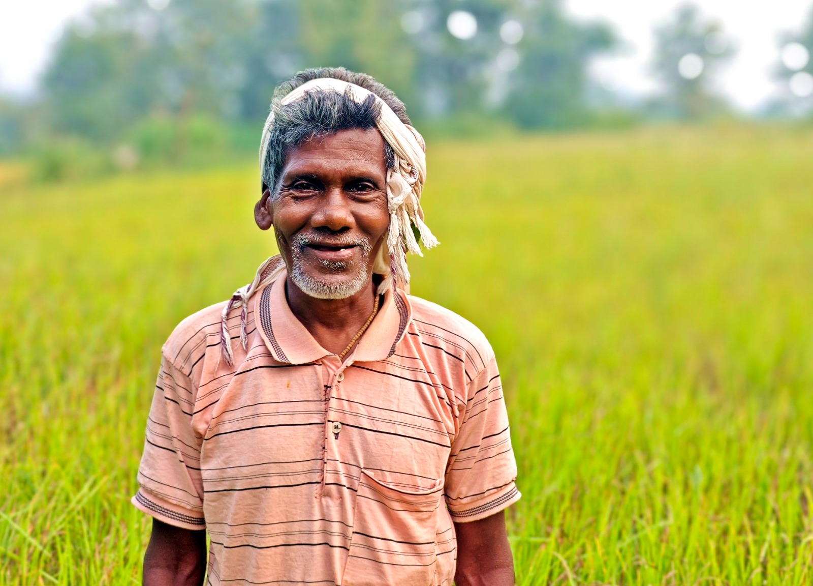 कोदो की खेती कर आर्थिक रूप से समृद्ध होने की राह पर अग्रसर हैं ग्राम अड़जाल के किसान कोदो की खेती कर आर्थिक रूप से समृद्ध होने की राह पर अग्रसर हैं ग्राम अड़जाल के किसान