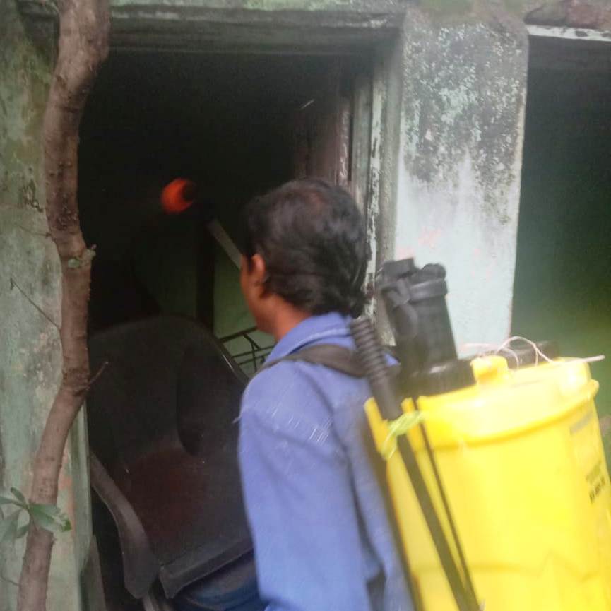 जारी है डेंगू, मलेरिया बचाव एवं मच्छर उन्मूलन हेतु अभियान जारी है डेंगू, मलेरिया बचाव एवं मच्छर उन्मूलन हेतु अभियान