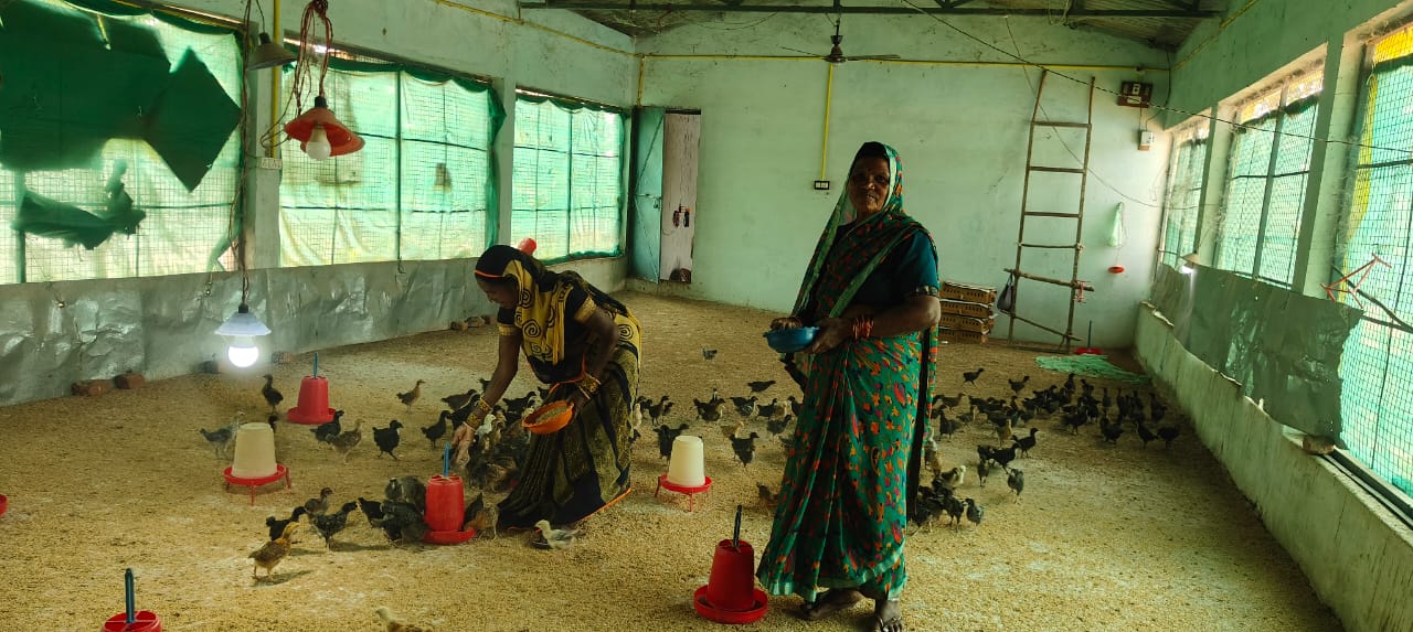 राष्ट्रीय आजीविका मिशन से मोहला- मानपुर जिले की महिलाएं हो रहीं सशक्त राष्ट्रीय आजीविका मिशन से मोहला- मानपुर जिले की महिलाएं हो रहीं सशक्त