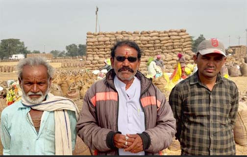 किसानों को अपनी मेहनत का सही दाम मिलने पर नया उत्साह और आत्मविश्वास देखने को मिल रहा किसानों को अपनी मेहनत का सही दाम मिलने पर नया उत्साह और आत्मविश्वास देखने को मिल रहा