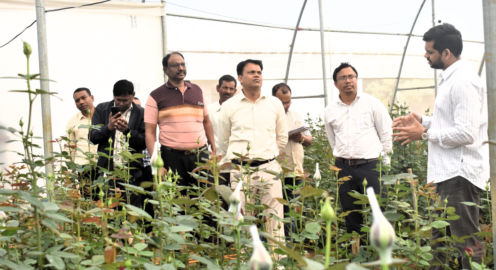 कलेक्टर ने ग्राम सोंहतरा में गुलाब फूल एवं ग्राम बिच्छीबहरा में टमाटर के खेती का किया अवलोकन कलेक्टर ने ग्राम सोंहतरा में गुलाब फूल एवं ग्राम बिच्छीबहरा में टमाटर के खेती का किया अवलोकन