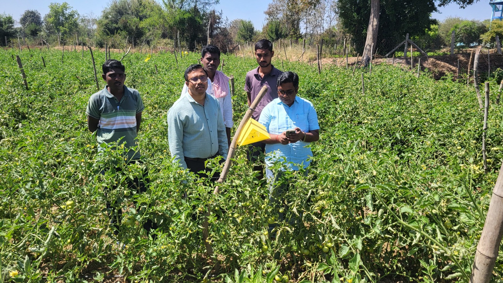 अपर कलेक्टर चन्द्रकांत कौशिक ने किया उद्यानिकी कृषक परिक्षेत्र ग्राम भोथली एवं ओरमा का भ्रमण अपर कलेक्टर चन्द्रकांत कौशिक ने किया उद्यानिकी कृषक परिक्षेत्र ग्राम भोथली एवं ओरमा का भ्रमण