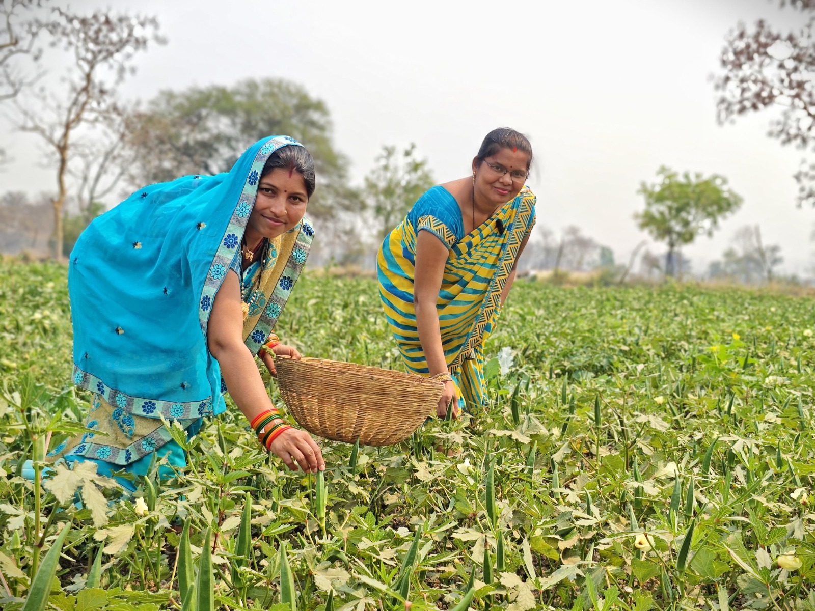 सब्जी बाड़ी के कार्य से बदली खैरवाही के महिलाओं की जिदंगी सब्जी बाड़ी के कार्य से बदली खैरवाही के महिलाओं की जिदंगी