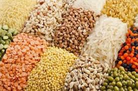 कृषि मंत्री श्री नेताम के निर्देश पर अनाज, दलहन एवं तिलहन बीजों का विक्रय दर निर्धारित कृषि मंत्री श्री नेताम के निर्देश पर अनाज, दलहन एवं तिलहन बीजों का विक्रय दर निर्धारित