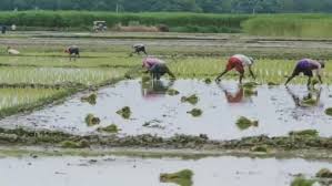 कृषक उन्नति योजना का लाभ लेने हेतु एकीकृत किसान पोर्टल में पंजीयन आवश्यक कृषक उन्नति योजना का लाभ लेने हेतु एकीकृत किसान पोर्टल में पंजीयन आवश्यक