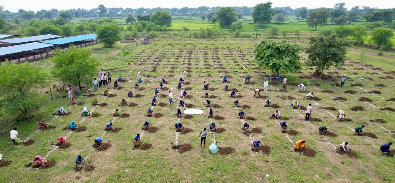 "एक पेड़ मां के नाम" अभियान के तहत ग्राम पंचायत कुकरा और रीवा में वृहद वृक्षारोपण, महिलाओं को मिला रोजगार और आत्मनिर्भरता का नया मार्ग "एक पेड़ मां के नाम" अभियान के तहत ग्राम पंचायत कुकरा और रीवा में वृहद वृक्षारोपण, महिलाओं को मिला रोजगार और आत्मनिर्भरता का नया मार्ग