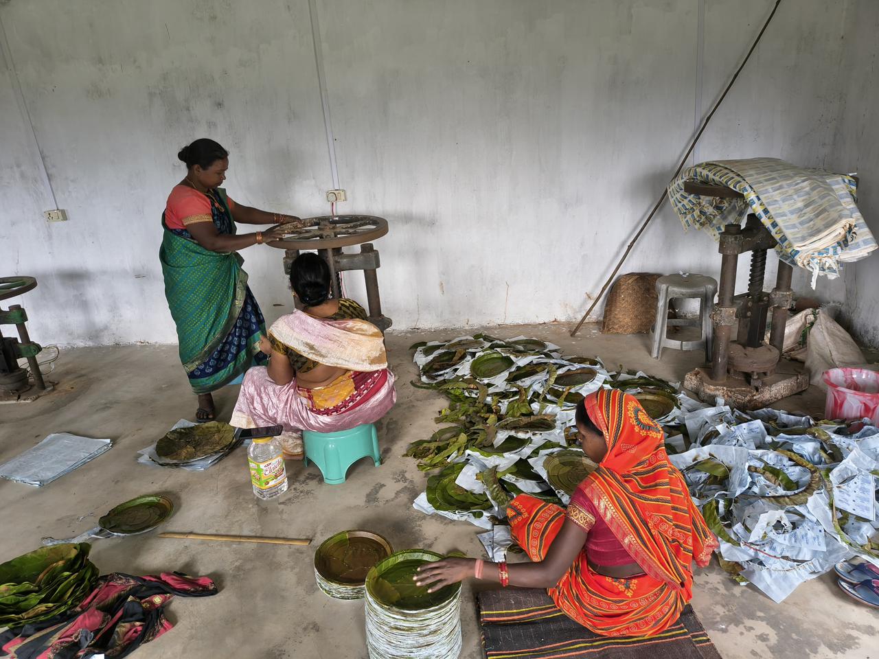 विशेष पिछड़ी जनजाति पहाड़ी कोरवा महिलाओं को पी.एम. जनमन योजना का मिल रहा लाभ विशेष पिछड़ी जनजाति पहाड़ी कोरवा महिलाओं को पी.एम. जनमन योजना का मिल रहा लाभ