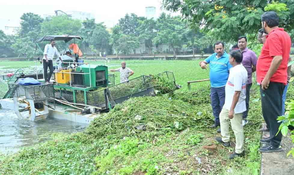 सांसद और आयुक्त ने तालाबों के जलकुम्भी सफाई का किये निरीक्षण सांसद और आयुक्त ने तालाबों के जलकुम्भी सफाई का किये निरीक्षण