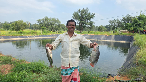 ग्रामीण अंचलों में मत्स्य पालन से आजीविका एवं आत्मनिर्भरता के खुल रहे नए अवसर ग्रामीण अंचलों में मत्स्य पालन से आजीविका एवं आत्मनिर्भरता के खुल रहे नए अवसर