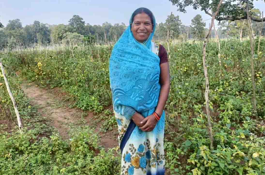 छत्तीसगढ की टमाटर ‘महाराष्ट्र की रसोई’ तक पहुंची छत्तीसगढ की टमाटर ‘महाराष्ट्र की रसोई’ तक पहुंची