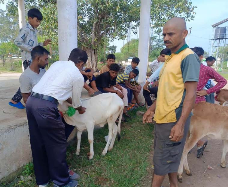 ग्राम भोथीपारखुर्द पुराना में नि:शुल्क एक दिवसीय पशु चिकित्सा शिविर का हुआ आयोजन ग्राम भोथीपारखुर्द पुराना में नि:शुल्क एक दिवसीय पशु चिकित्सा शिविर का हुआ आयोजन