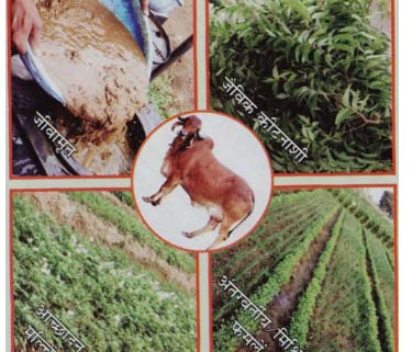 कृषि विश्वविद्यालय में प्राकृतिक खेती पर राष्ट्रीय संगोष्ठी कल कृषि विश्वविद्यालय में प्राकृतिक खेती पर राष्ट्रीय संगोष्ठी कल