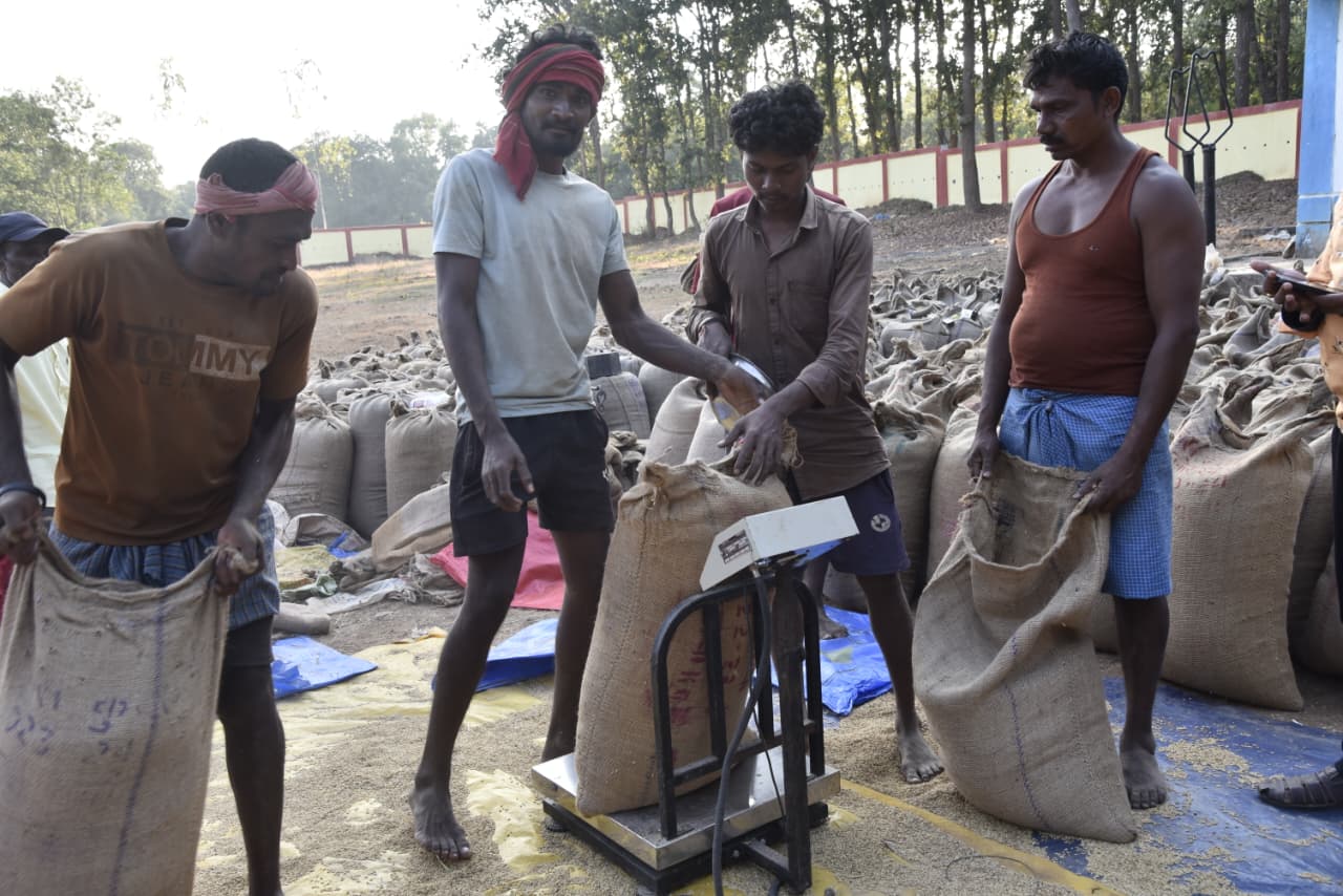 बस्तर जिले का जमावाड़ा धान उपार्जन केंद्र बना सुगमता और सहयोग की मिसाल, किसानों ने जताई संतुष्टि बस्तर जिले का जमावाड़ा धान उपार्जन केंद्र बना सुगमता और सहयोग की मिसाल, किसानों ने जताई संतुष्टि