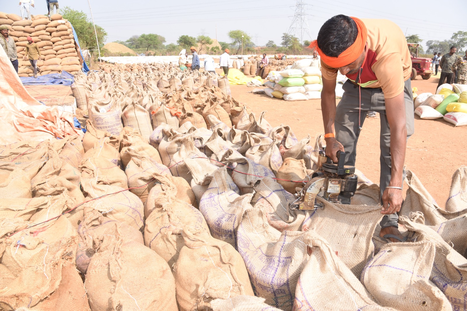 70,178.32 मे. टन धान की खरीदी 70,178.32 मे. टन धान की खरीदी