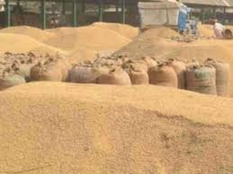 राजनांदगांव जिले में धान की खरीदी अभियान से किसानों में हर्ष व्याप्त राजनांदगांव जिले में धान की खरीदी अभियान से किसानों में हर्ष व्याप्त