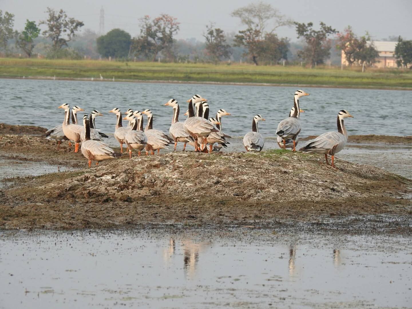 कोपरा जलाशय में मछली मारने पर लगा प्रतिबंध कोपरा जलाशय में मछली मारने पर लगा प्रतिबंध