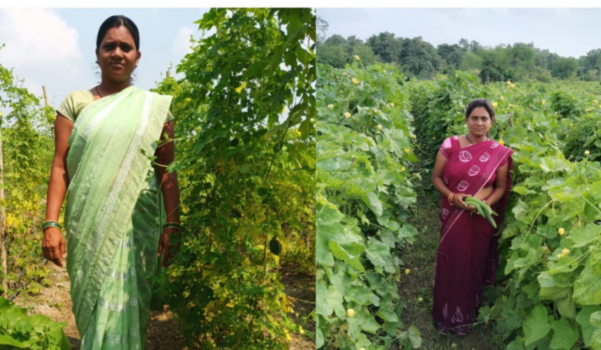 राष्ट्रीय ग्रामीण आजीविका मिशन: कर्ज के बोझ से मुक्त होकर आत्मनिर्भर बनी सुष्मिता जाटवर राष्ट्रीय ग्रामीण आजीविका मिशन: कर्ज के बोझ से मुक्त होकर आत्मनिर्भर बनी सुष्मिता जाटवर