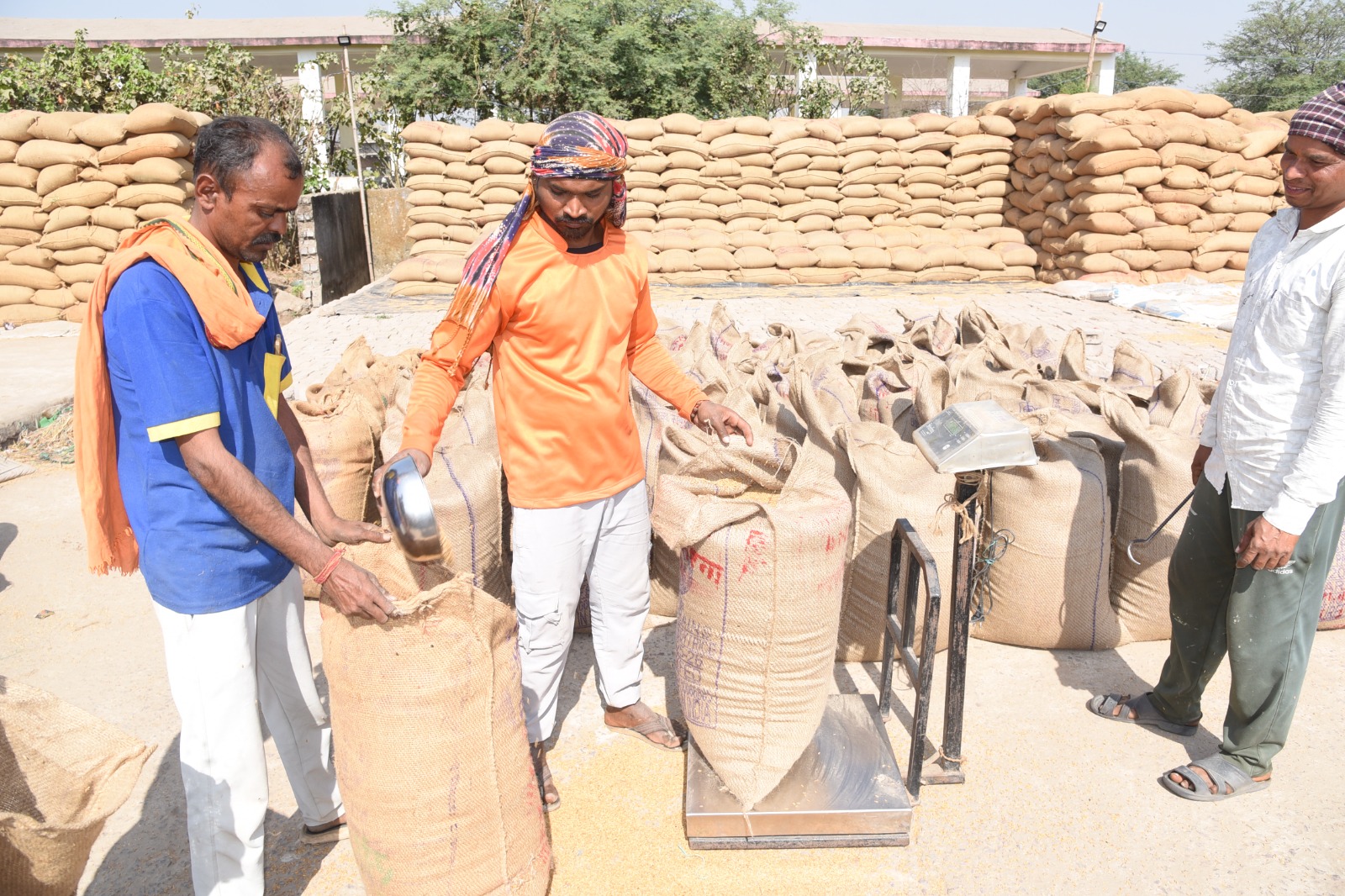 उपार्जन केन्द्रों से 1,45,118.52 मे. टन धान का उठाव उपार्जन केन्द्रों से 1,45,118.52 मे. टन धान का उठाव