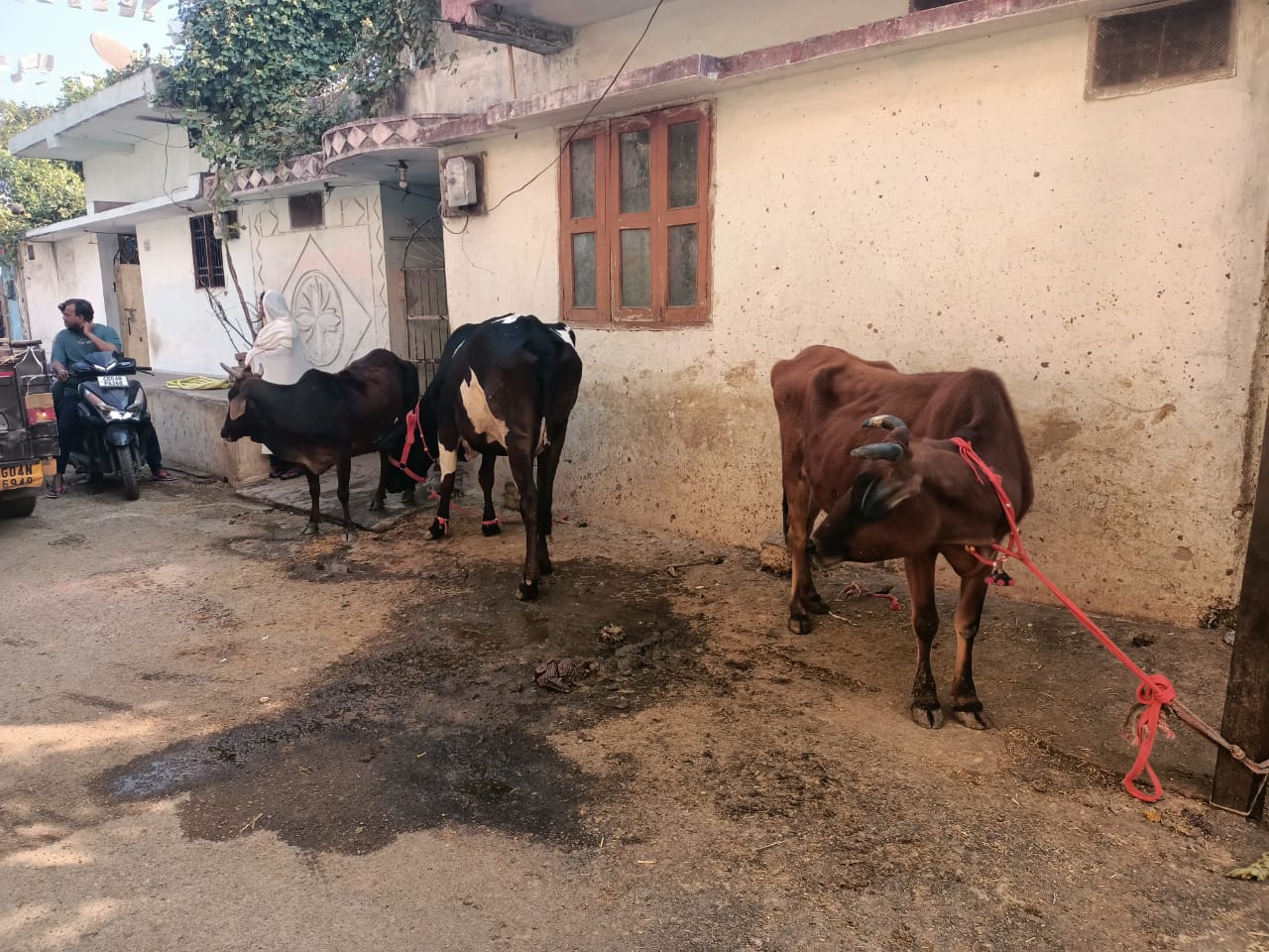 डेयरी संचालक पर नोटिस देकर किया 5 हजार रू. का जुर्माना डेयरी संचालक पर नोटिस देकर किया 5 हजार रू. का जुर्माना