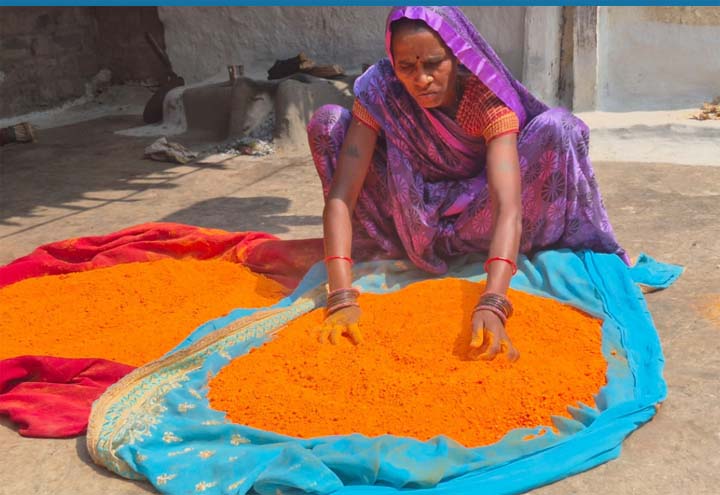 हर्बल गुलाल से और भी रंगीली होगी होली हर्बल गुलाल से और भी रंगीली होगी होली
