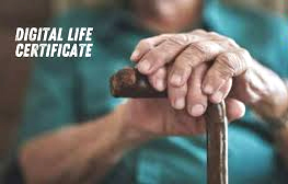 निराश्रित पेंशन हितग्राही घर बैठे करवा सकते हैं डिजीटल लाइफ सर्टिफिकेट सत्यापन निराश्रित पेंशन हितग्राही घर बैठे करवा सकते हैं डिजीटल लाइफ सर्टिफिकेट सत्यापन