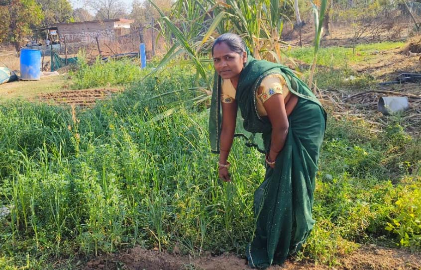 मजदूरी से मशरूम उत्पादन और अब स्वयं की दुकान से ‘लखपति दीदी’ बनीं बृहस्पति धुर्वे मजदूरी से मशरूम उत्पादन और अब स्वयं की दुकान से ‘लखपति दीदी’ बनीं बृहस्पति धुर्वे