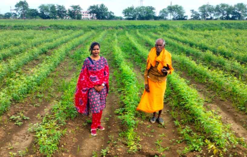 ‘आत्मा’ योजना के तहत फार्म स्कूल से किसानों को मिली नई दिशा ‘आत्मा’ योजना के तहत फार्म स्कूल से किसानों को मिली नई दिशा