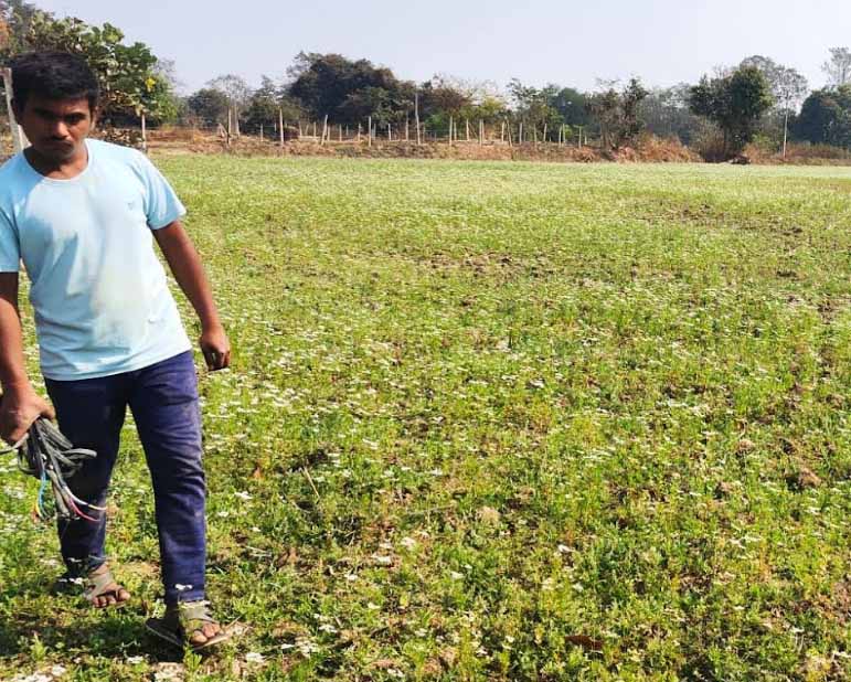 राष्ट्रीय बागवानी मिशन से सशक्त हुए किसान प्रमोद राष्ट्रीय बागवानी मिशन से सशक्त हुए किसान प्रमोद