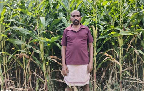 ग्रीष्मकालीन धान के स्थान पर दलहन और मक्का को अपना रहे सरगुजा के किसान ग्रीष्मकालीन धान के स्थान पर दलहन और मक्का को अपना रहे सरगुजा के किसान