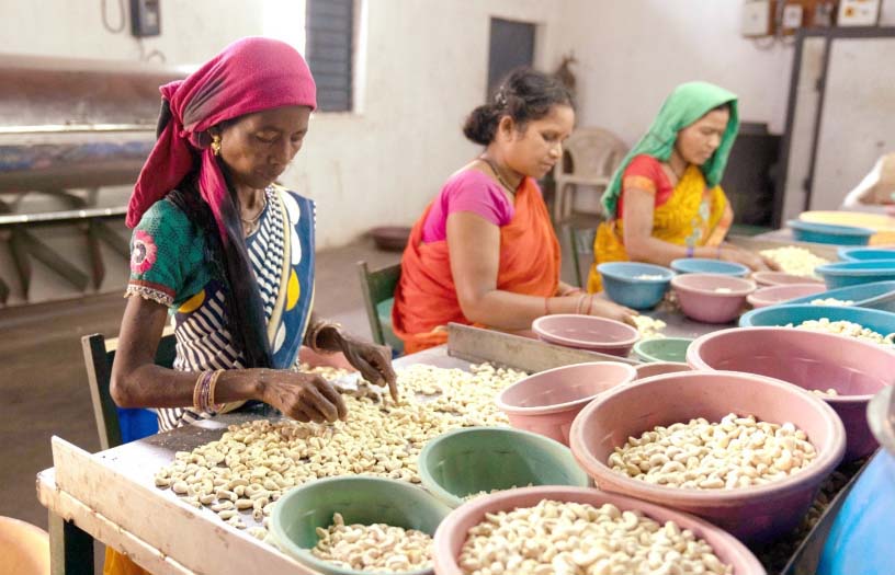 वन धन विकास केंद्र वनांचल की महिलाओं के लिए आत्मनिर्भरता का नया सोपान वन धन विकास केंद्र वनांचल की महिलाओं के लिए आत्मनिर्भरता का नया सोपान