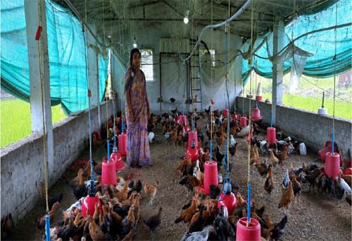 मजदूरी करने वाली रानी यादव बनीं गांव की सफल महिला व्यवसायी मजदूरी करने वाली रानी यादव बनीं गांव की सफल महिला व्यवसायी