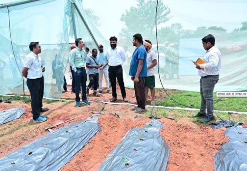 संरक्षित खेती से आर्थिक रूप से सशक्त बने जशपुर के किसान अनारथ साय संरक्षित खेती से आर्थिक रूप से सशक्त बने जशपुर के किसान अनारथ साय