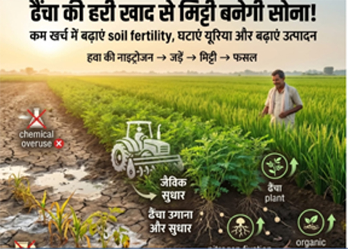खरीफ 2026 : धान और हरी खाद के बीजों का पर्याप्त भंडारण, किसानों को समय पर मिलेगा लाभ खरीफ 2026 : धान और हरी खाद के बीजों का पर्याप्त भंडारण, किसानों को समय पर मिलेगा लाभ