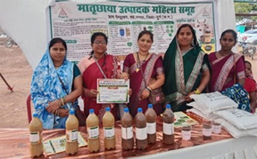 बिहान महिलाओं ने बनाई प्रगतिशील किसान के रूप में पहचान बिहान महिलाओं ने बनाई प्रगतिशील किसान के रूप में पहचान