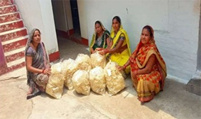 चावल पापड़ उद्योग से आत्मनिर्भरता की ओर बढ़ती हुई ग्रामीण महिलाएं चावल पापड़ उद्योग से आत्मनिर्भरता की ओर बढ़ती हुई ग्रामीण महिलाएं