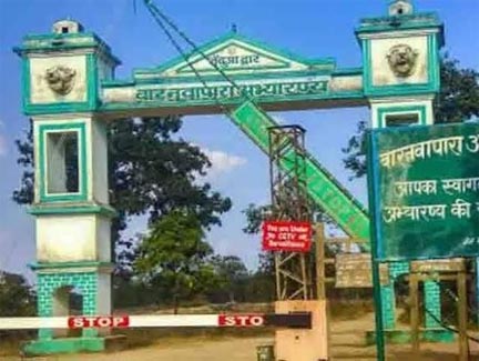 बारनावापारा अभयारण्य वन परिक्षेत्र में मृत 3 चीतल का किया गया पोस्टमार्टम बारनावापारा अभयारण्य वन परिक्षेत्र में मृत 3 चीतल का किया गया पोस्टमार्टम