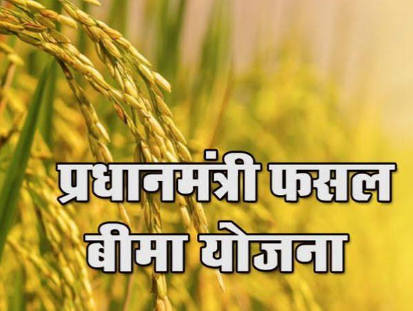 फसलों का बीमा कराने की अंतिम तिथि 31 जुलाई तक फसलों का बीमा कराने की अंतिम तिथि 31 जुलाई तक