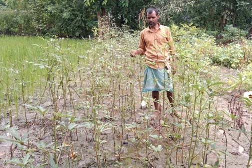 माटी से उपजी समृद्धि: नारायणपुर के भूपेन्द्र कुमार पुजारी की आत्मनिर्भरता का सफर माटी से उपजी समृद्धि: नारायणपुर के भूपेन्द्र कुमार पुजारी की आत्मनिर्भरता का सफर