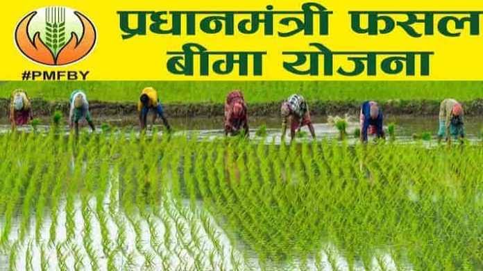उद्यानिकी फसलों का फसल बीमा कराने की अंतिम तिथि 31 जुलाई तक उद्यानिकी फसलों का फसल बीमा कराने की अंतिम तिथि 31 जुलाई तक