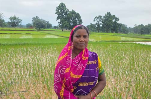 बिहान योजना से सशक्त हुईं मीरा बाई, कृषि और मत्स्य पालन से बनीं आत्मनिर्भर बिहान योजना से सशक्त हुईं मीरा बाई, कृषि और मत्स्य पालन से बनीं आत्मनिर्भर