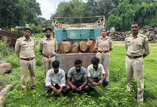 रामानुजनगर वन परिक्षेत्र में अवैध काष्ठ परिवहन पर बड़ी कार्रवाई रामानुजनगर वन परिक्षेत्र में अवैध काष्ठ परिवहन पर बड़ी कार्रवाई