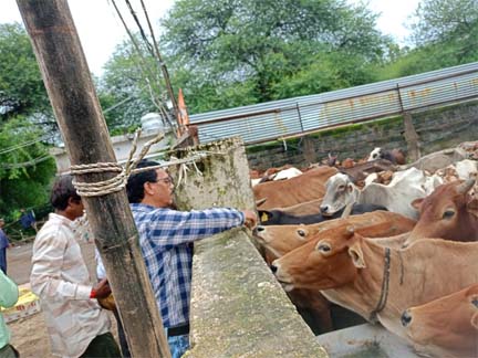 महापौर के निर्देश पर जोन स्वास्थ्य अधिकारियों ने फुण्डहर गोधाम का किया निरीक्षण महापौर के निर्देश पर जोन स्वास्थ्य अधिकारियों ने फुण्डहर गोधाम का किया निरीक्षण