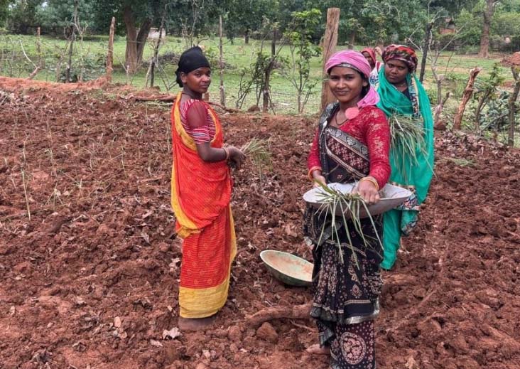 लेमन ग्रास की खुशबू से महक रही आत्मनिर्भरता, जीपीएम की महिलाएं बढ़ रहीं ‘लखपति दीदी’ बनने की राह पर लेमन ग्रास की खुशबू से महक रही आत्मनिर्भरता, जीपीएम की महिलाएं बढ़ रहीं ‘लखपति दीदी’ बनने की राह पर