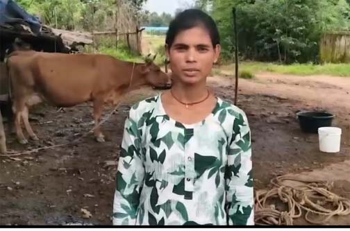 सेवा की कहानी: डेयरी व्यवसाय से संध्या बनीं आत्मनिर्भर, दूध की बिक्री से हर महीने हो रही 15 हजार रुपये की बचत सेवा की कहानी: डेयरी व्यवसाय से संध्या बनीं आत्मनिर्भर, दूध की बिक्री से हर महीने हो रही 15 हजार रुपये की बचत