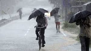 प्रदेश में 1 से 23 जून तक 243.6 मिमी औसत वर्षा दर्ज